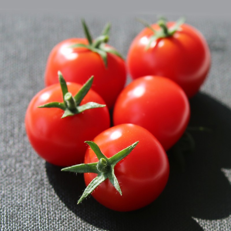 博天堂(918.com)官网-918博天堂,让你更杰出