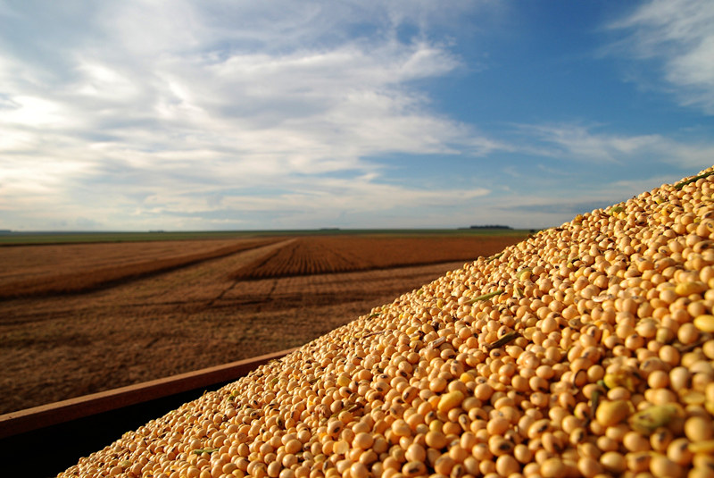 博天堂(918.com)官网-918博天堂,让你更杰出