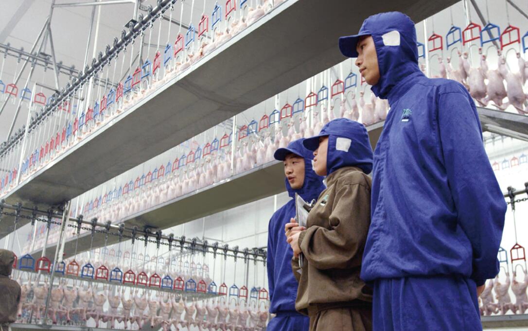 博天堂(918.com)官网-918博天堂,让你更杰出