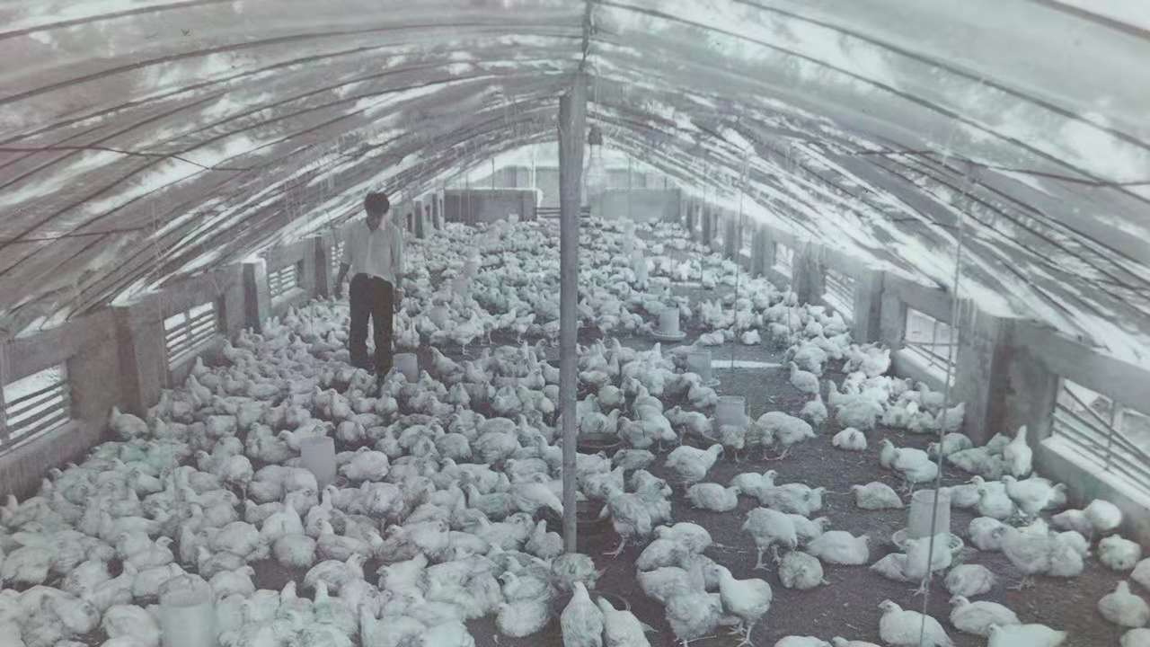 博天堂(918.com)官网-918博天堂,让你更杰出