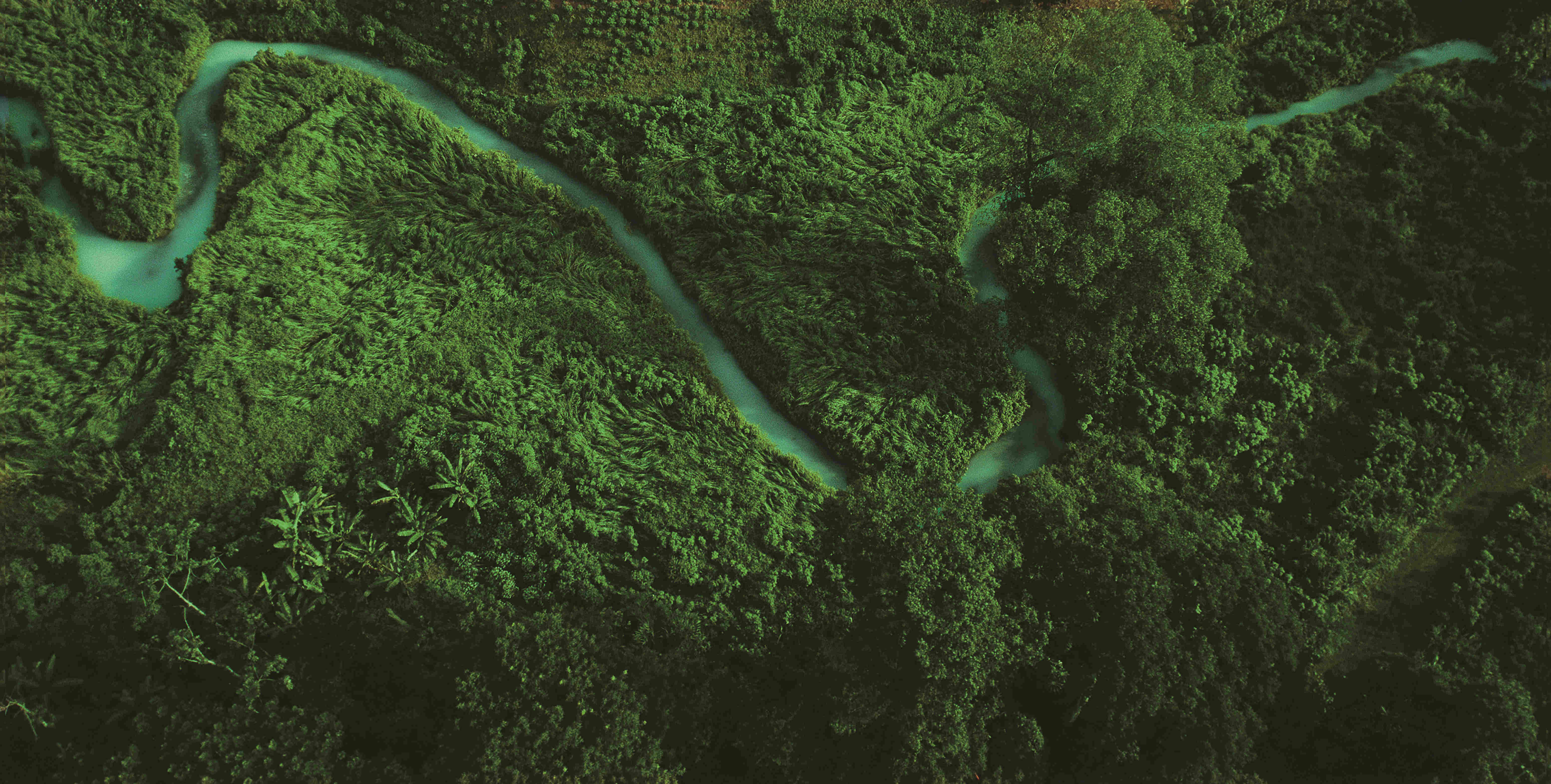 博天堂(918.com)官网-918博天堂,让你更杰出