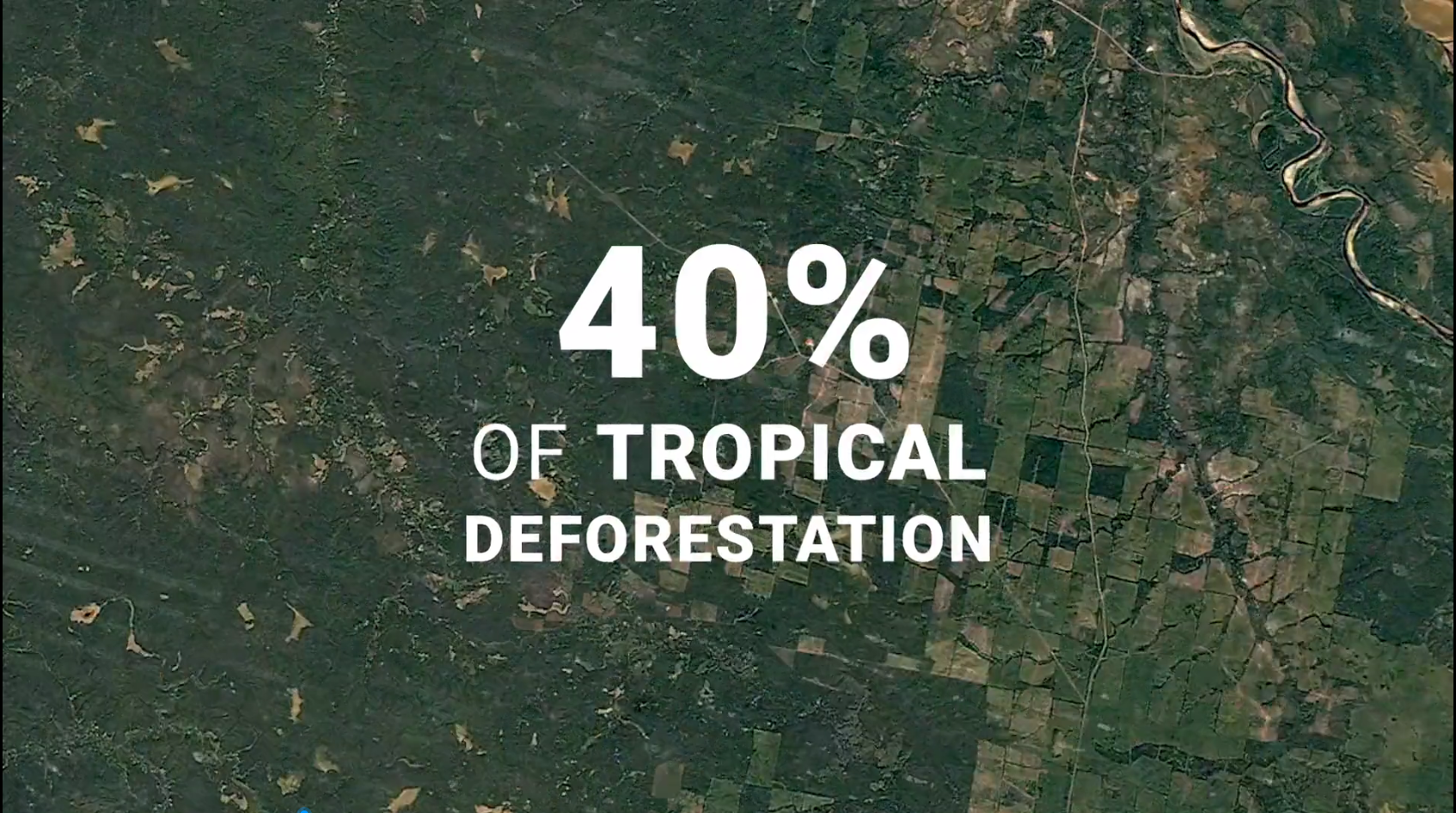 博天堂(918.com)官网-918博天堂,让你更杰出