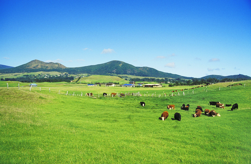 博天堂(918.com)官网-918博天堂,让你更杰出